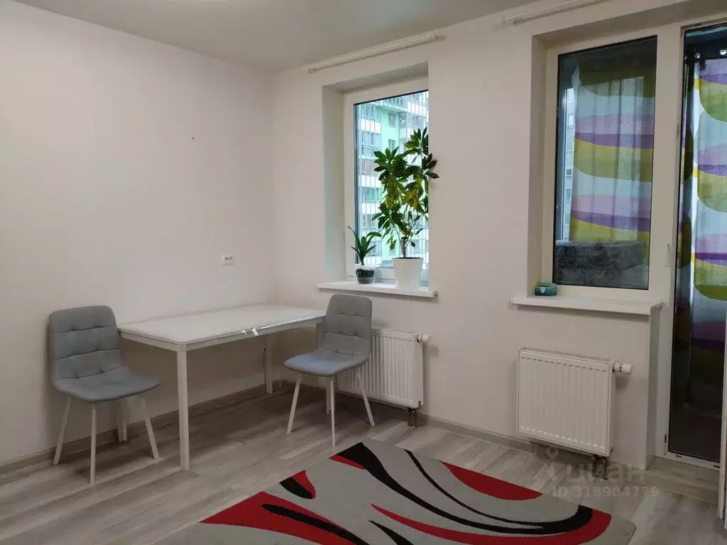 Студия Санкт-Петербург просп. Королева, 59к1 (26.0 м) - Фото 1