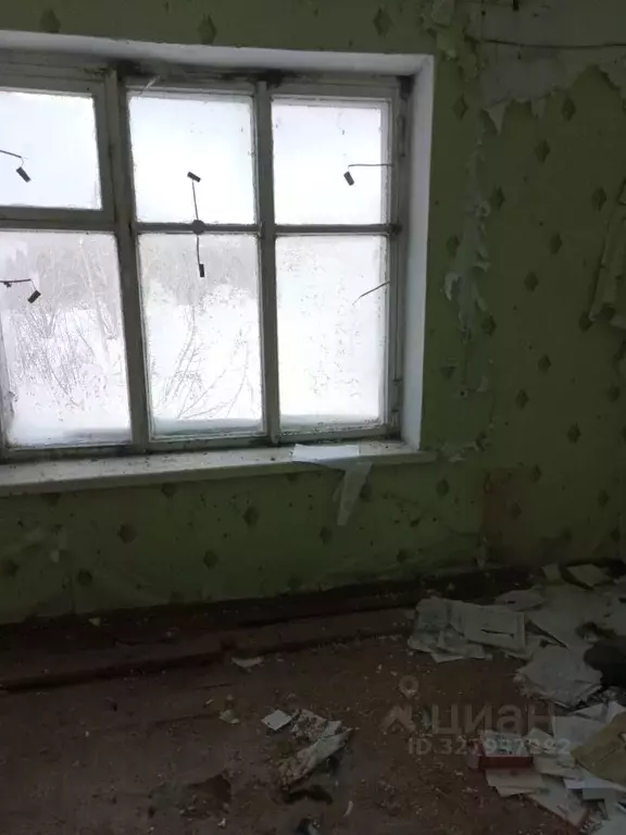 Помещение свободного назначения в Алтайский край, Зональный район, с. ... - Фото 1