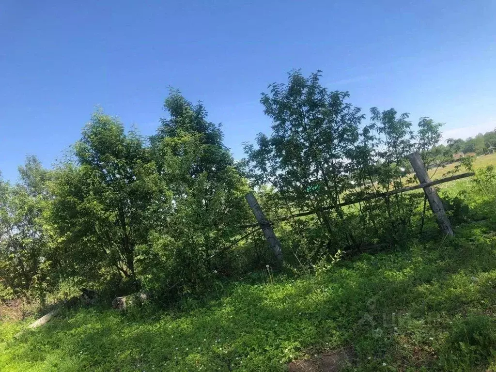 Участок, 30 сот., поселения (ижс) - Фото 1