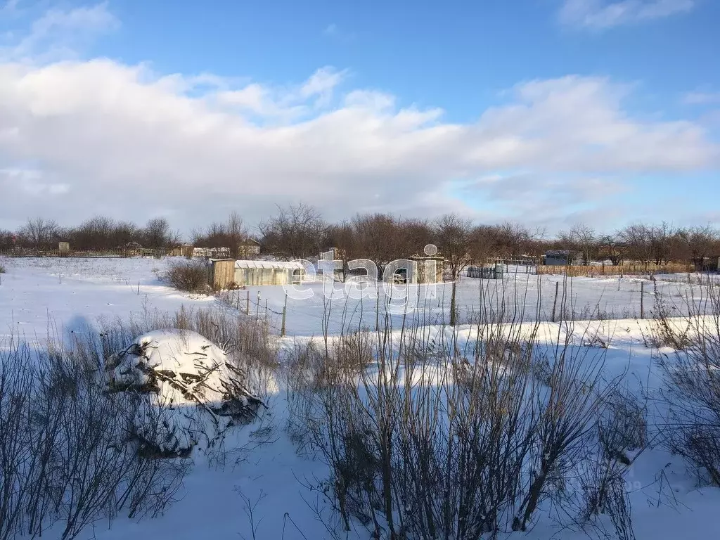 Участок в Мордовия, Саранск городской округ, пос. Озерный, Озерное СНТ ... - Фото 0