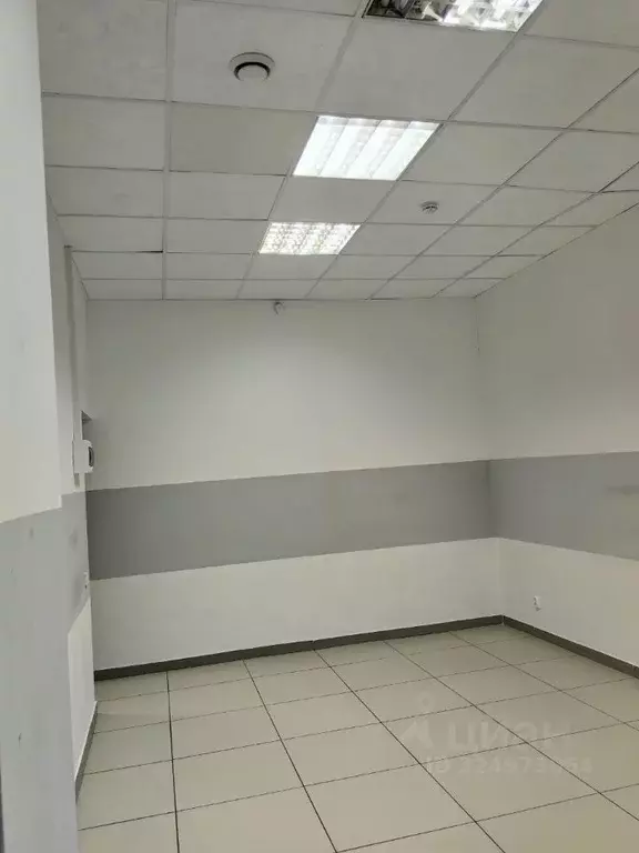 Помещение свободного назначения в Белгородская область, Белгород пер. ... - Фото 2