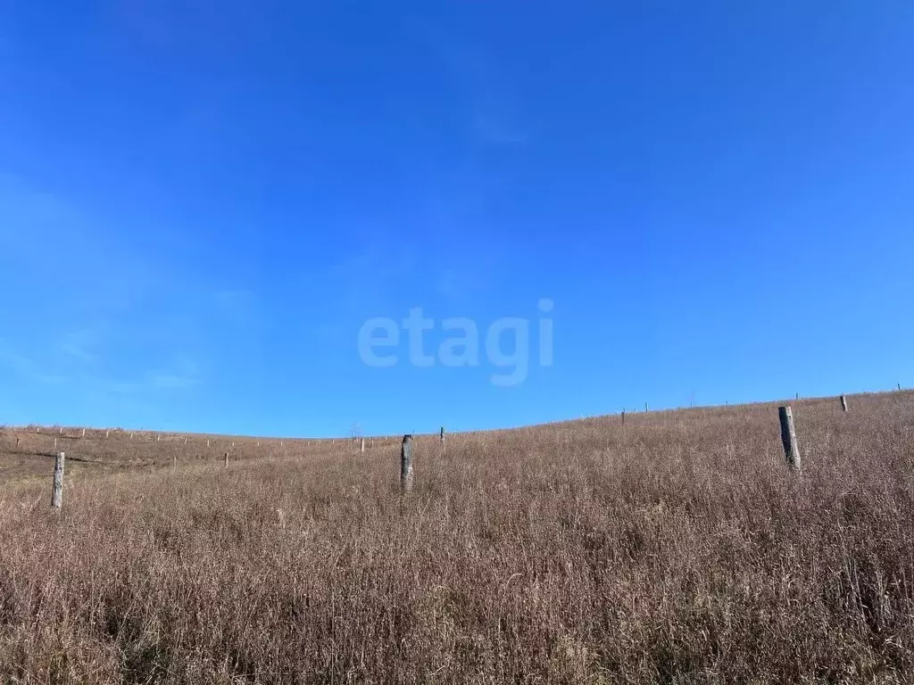 Участок в Алтай, Майминский район, пос. Алферово ул. Выходцева, 12 ... - Фото 1