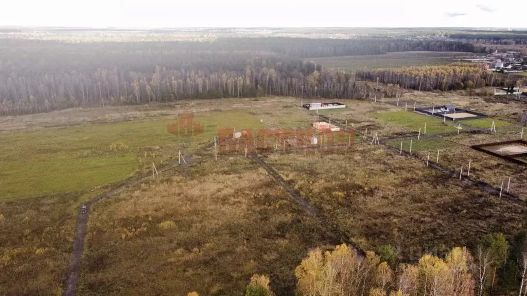 Участок в Московская область, Богородский городской округ, д. Черново  ... - Фото 1
