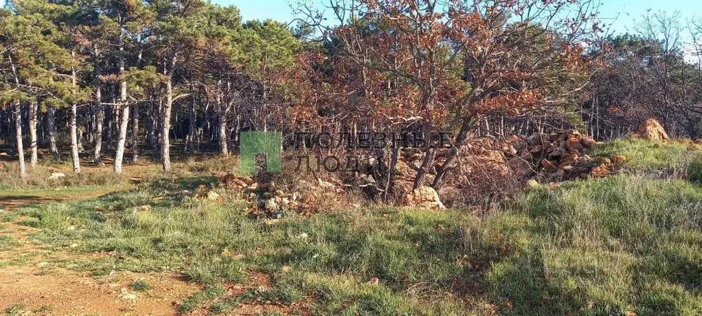 Участок в Севастополь Скалистый-89 СНТ,  (4.02 сот.) - Фото 1