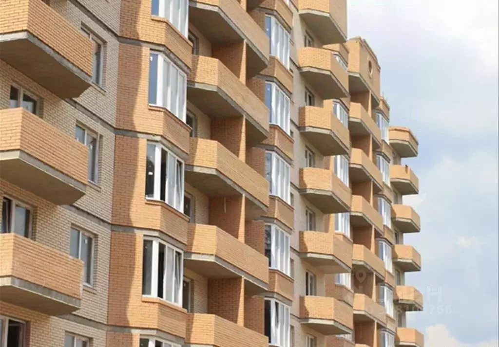 1-к кв. Московская область, Рузский муниципальный округ, Тучково пгт ... - Фото 2