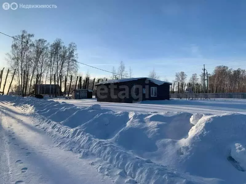 Участок в Новосибирский район, Верх-Тулинский сельсовет, ... - Фото 1