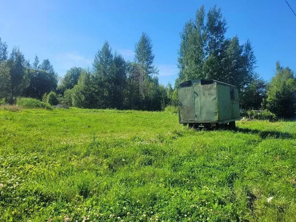 Участок в Ленинградская область, Ломоносовский район, Лебяженское ... - Фото 2