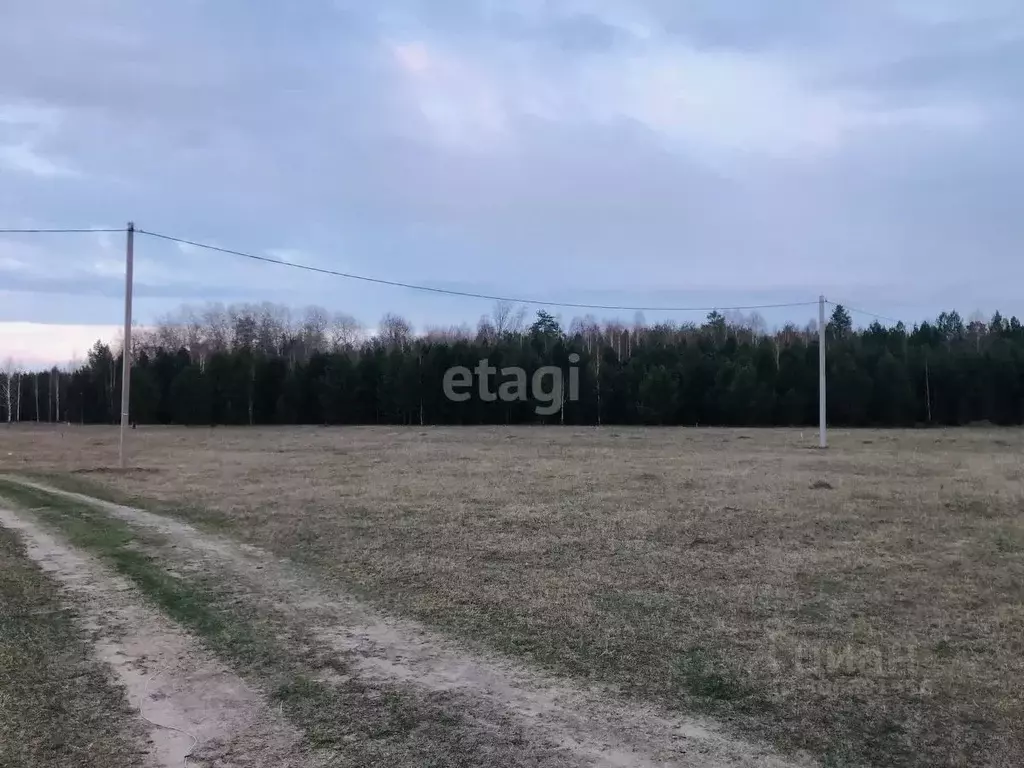 Участок в Тюменская область, Нижнетавдинский район, д. Московка  (9.1 ... - Фото 0