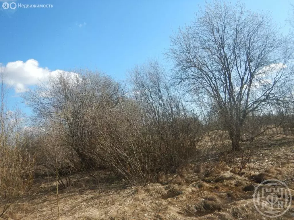 Участок в Красное Село, Красногородская улица, 26 (12 м) - Фото 1