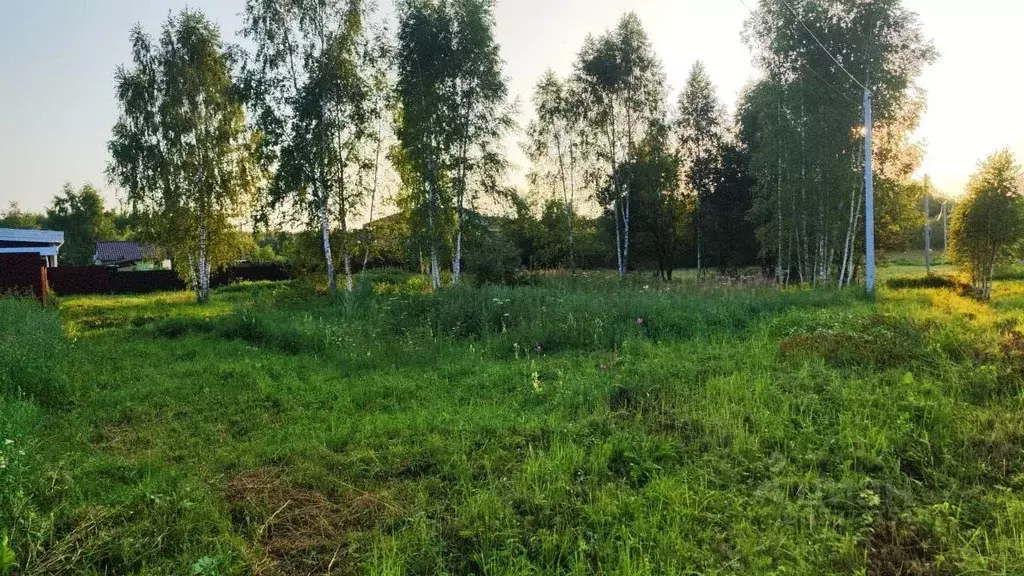 Участок в Тульская область, Заокский район, Страховское с/пос, д. ... - Фото 1