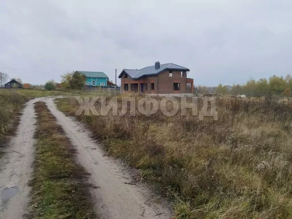 Участок в Брянская область, Брянский район, Добрунское с/пос, д. ... - Фото 1