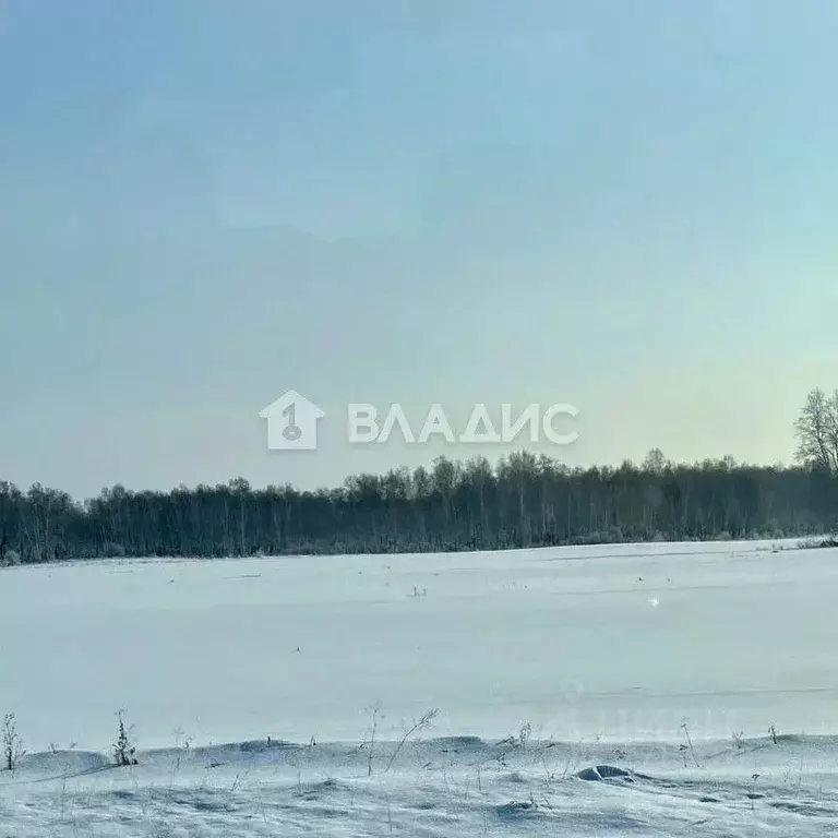 Участок в Московская область, Шаховская муниципальный округ, д. ... - Фото 1