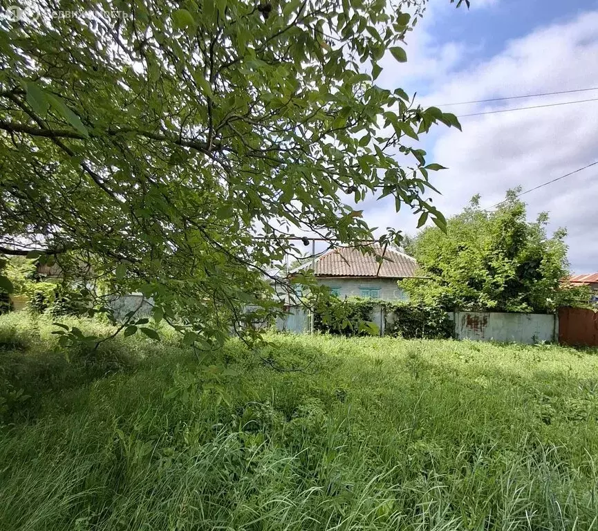Дом в станица Темиргоевская, улица Мира, 126 (46 м) - Фото 1