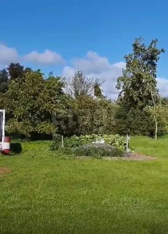 Участок в Калининградская область, Полесский муниципальный округ, пос. ... - Фото 1