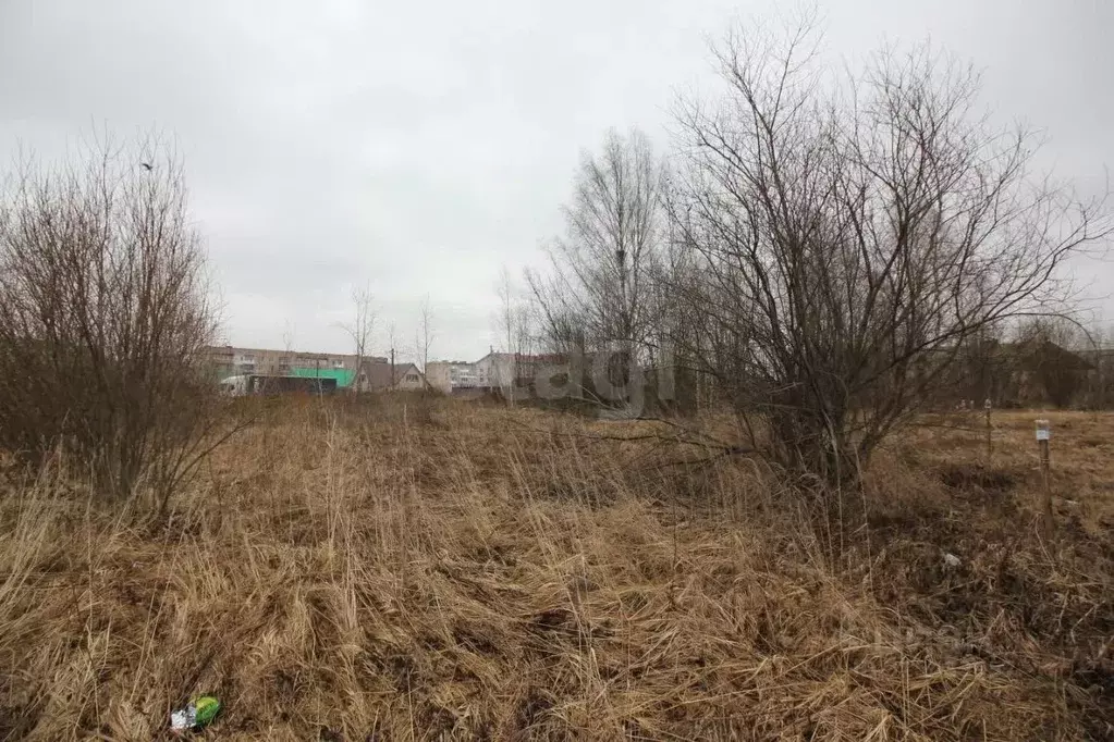 Участок в Вологодская область, Шексна рп ул. Западная (10.0 сот.) - Фото 1