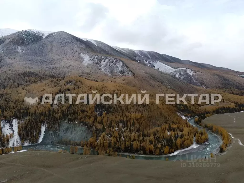 Участок в Алтай, Кош-Агачский район, с. Чаган-Узун  (195.0 сот.) - Фото 1