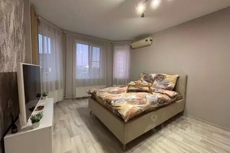 1-к кв. Нижегородская область, Нижний Новгород Мещерское Озеро ... - Фото 2