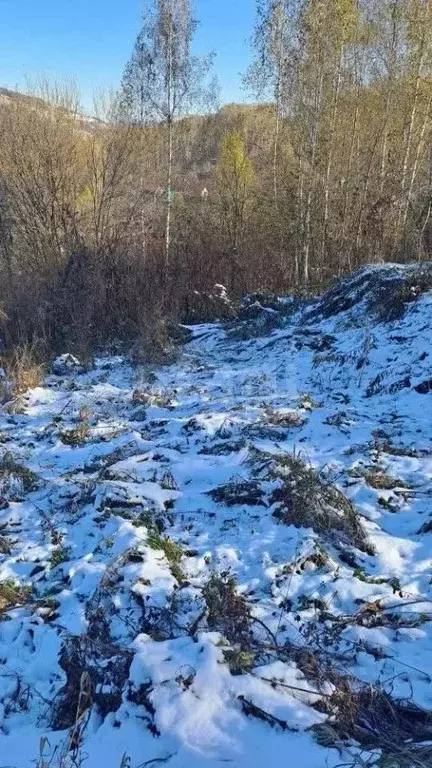 Участок в Алтай, Горно-Алтайск Электросигнал СНТ, 185 (4.5 сот.) - Фото 1