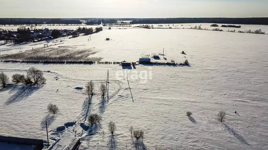 Участок в Ленинградская область, Гатчинский муниципальный округ, Чаща ... - Фото 1