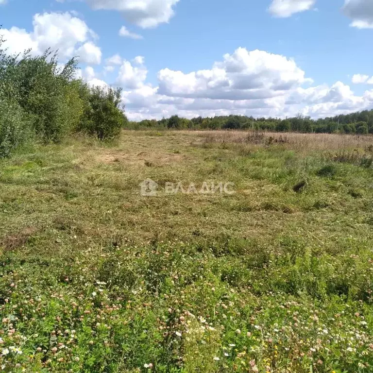 Участок в Владимирская область, Собинский муниципальный округ, с. ... - Фото 2