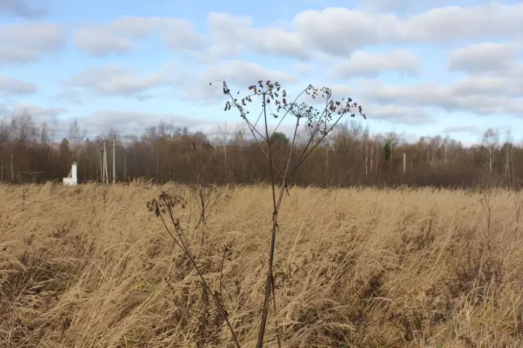 Участок в Москва д. Кузнецово, ул. Березовая (13.58 сот.) - Фото 2