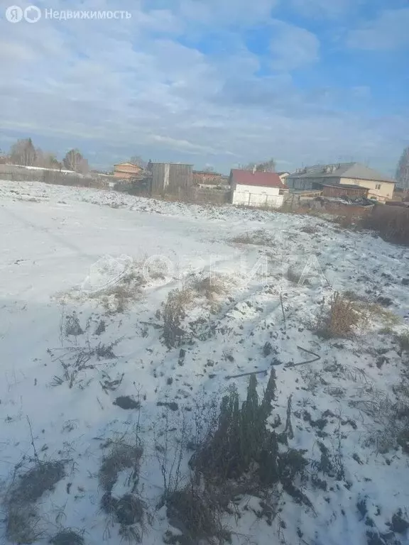 Участок в Тюменский муниципальный округ, село Кулаково (25 м) - Фото 2