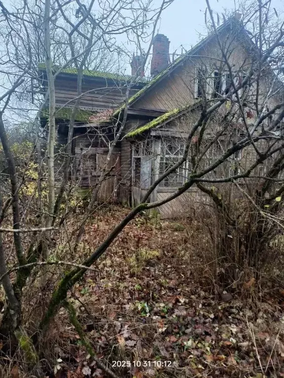 Участок в Ленинградская область, Гатчина ул. Сойту, 85 (13.49 сот.) - Фото 2