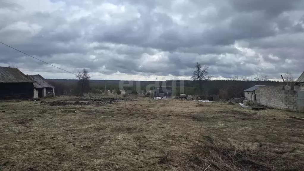 Участок в Владимирская область, Камешковский муниципальный округ, д. ... - Фото 2