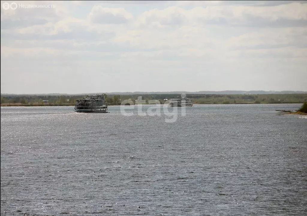 Участок в Ярославский муниципальный округ, деревня Сорокино (19.5 м) - Фото 2