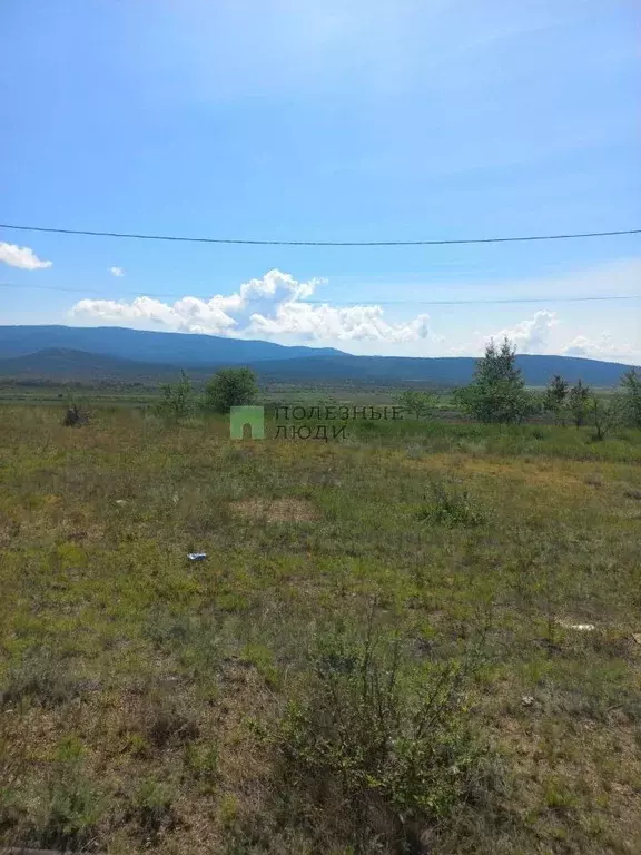 Участок в Забайкальский край, Чита ул. Жасминовая (8.39 сот.) - Фото 1