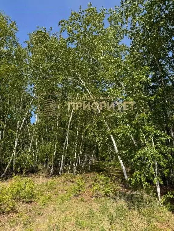 Участок в Саха (Якутия), Горный улус, с. Бердигестях  (700.0 сот.) - Фото 2