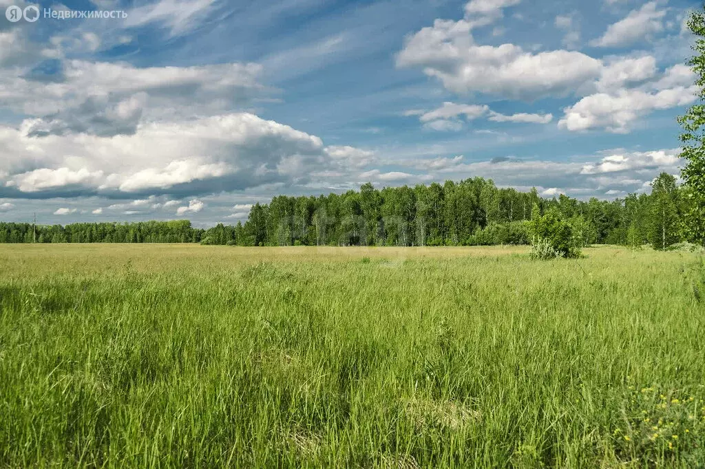 Участок в Владимирская область, Александровский муниципальный округ, ... - Фото 1