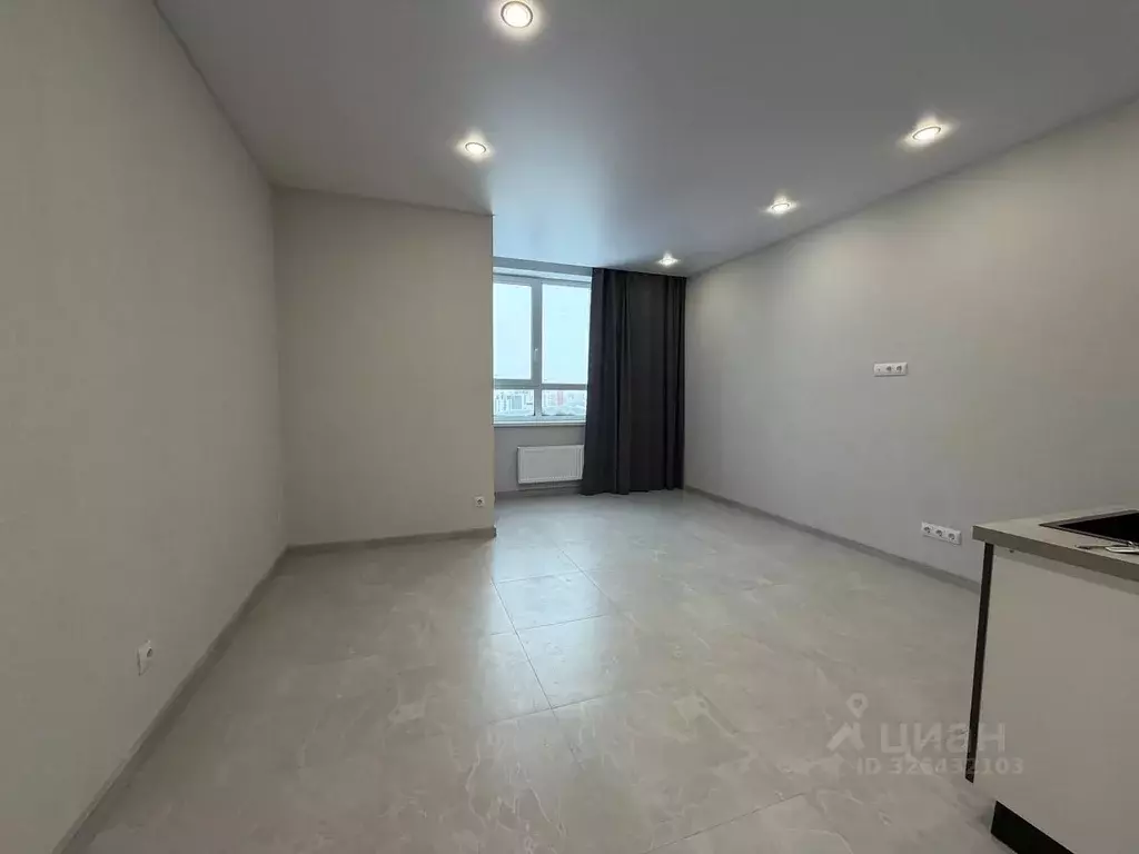 Студия Свердловская область, Екатеринбург ул. Репина, 109 (26.6 м) - Фото 1