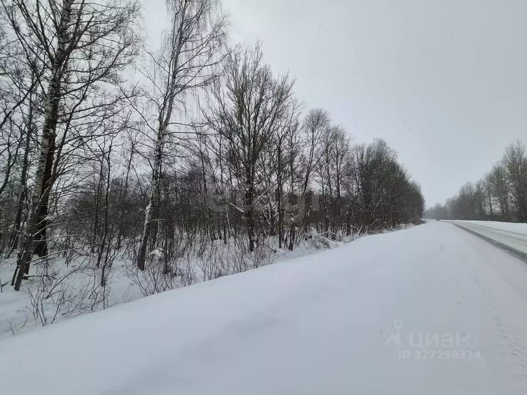 Участок в Ярославская область, Некрасовский муниципальный округ, д. ... - Фото 2