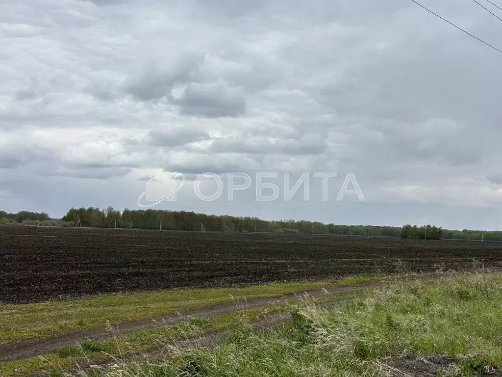 Участок в Тюменская область, Тюменский муниципальный округ, ... - Фото 2