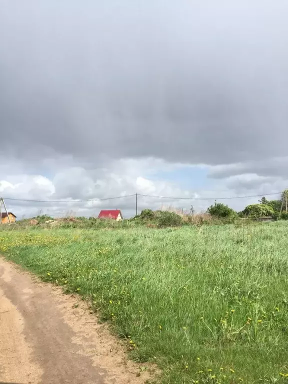 Участок в Новгородская область, Новгородский район, Савинское с/пос, ... - Фото 1