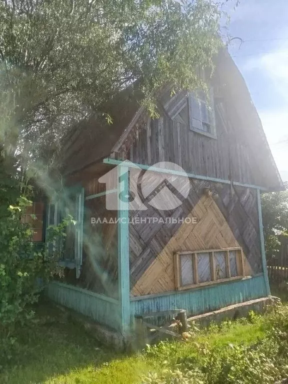 Дом в Новосибирская область, Коченевский район, Сигнал СНТ ул. ... - Фото 1