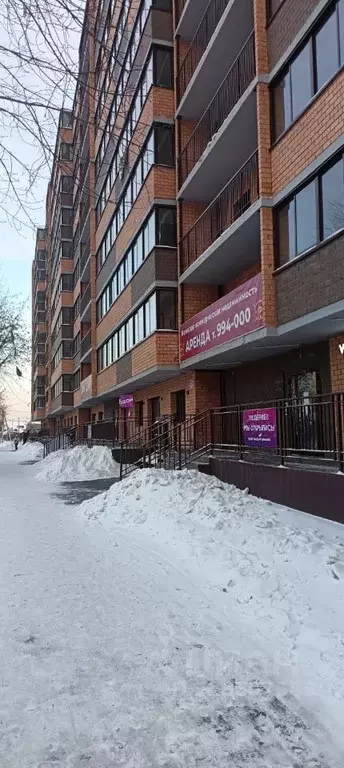 Студия Иркутская область, Иркутск ул. Красный Путь, 63 (31.0 м) - Фото 2