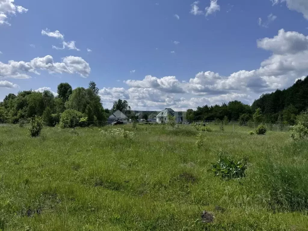 Участок в Мордовия, Кочкуровский район, д. Красная Зорька  (20.0 сот.) - Фото 0