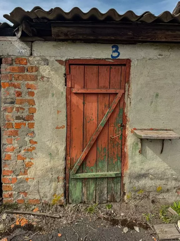 Помещение свободного назначения в Орловская область, Кромы пгт ул. К. ... - Фото 1