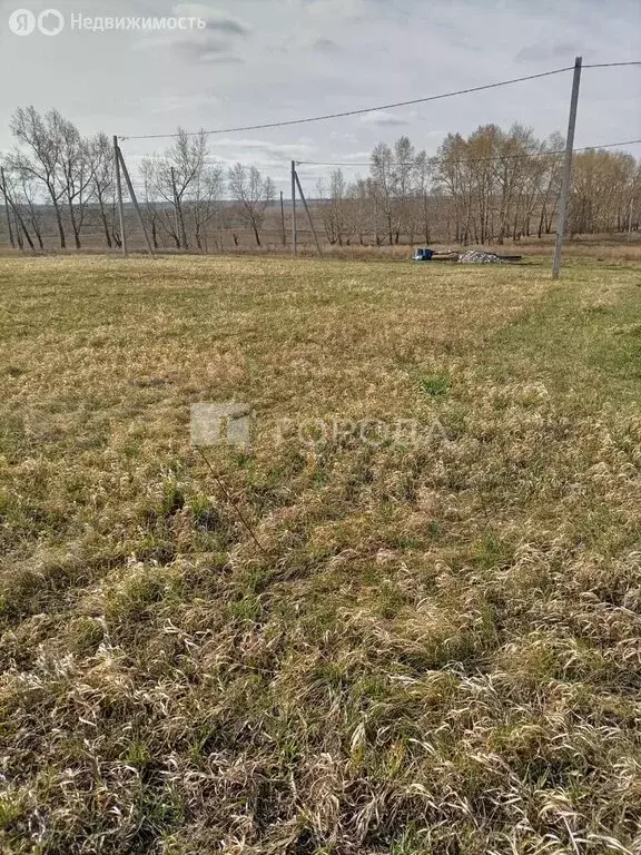 Участок в Алтайский край, городской округ Барнаул, посёлок Центральный ... - Фото 1