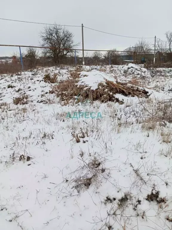 Участок в Белгородская область, Чернянский район, Русскохаланское ... - Фото 2