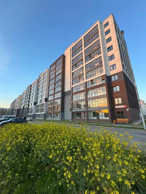 Студия Пермский край, Пермь Целинная ул., 59к1 (22.0 м) - Фото 1