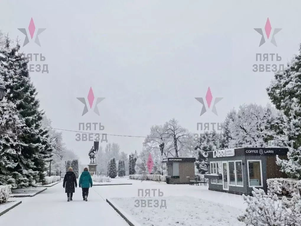 Помещение свободного назначения в Самарская область, Самара Волжский ... - Фото 1