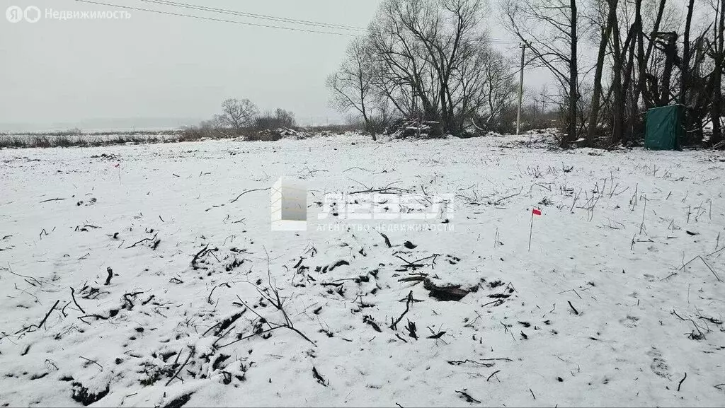 Участок в Московская область, городской округ Домодедово, село ... - Фото 2
