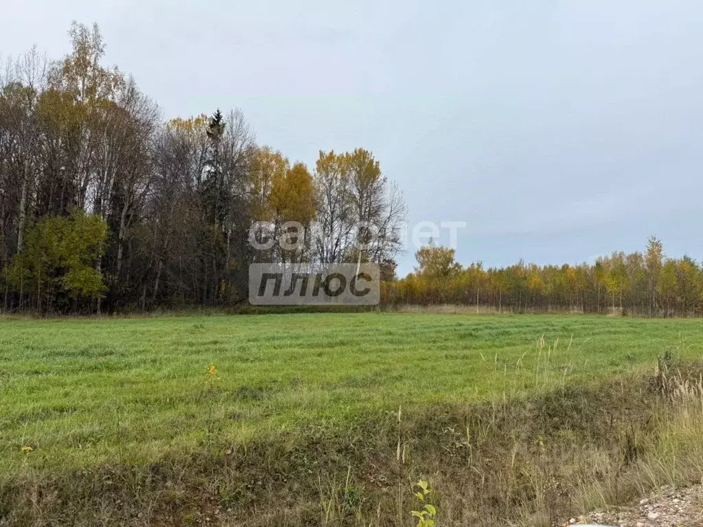 Участок в Тверская область, Зубцовский муниципальный округ, Усадьба ... - Фото 1