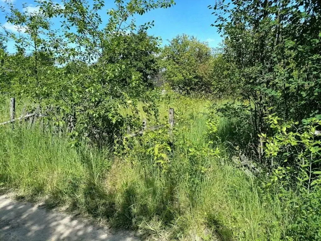 Участок в Нижегородская область, Павлово ул. Калинина (6.0 сот.) - Фото 1