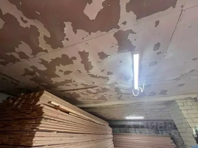 Помещение свободного назначения в Новгородская область, Хвойная рп ул. ... - Фото 1