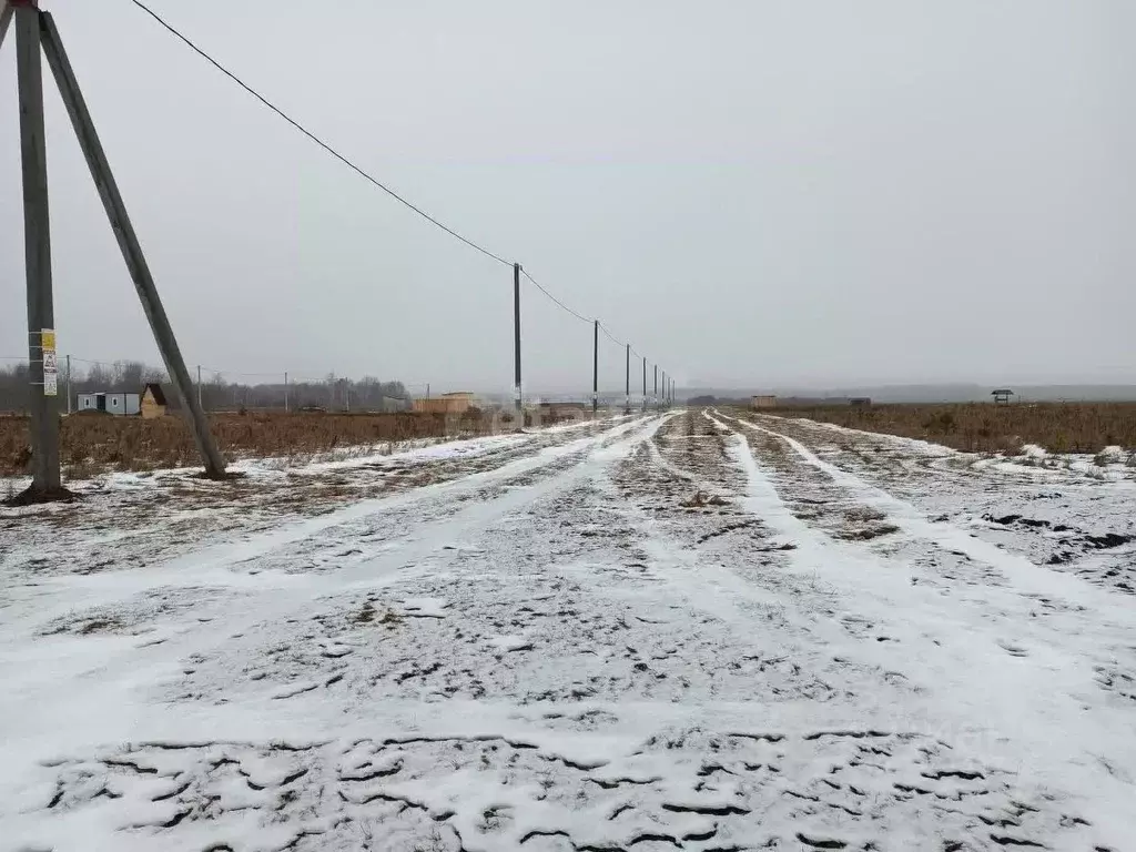 Участок в Тюменская область, Тюменский район, с. Кулига  (8.25 сот.) - Фото 1