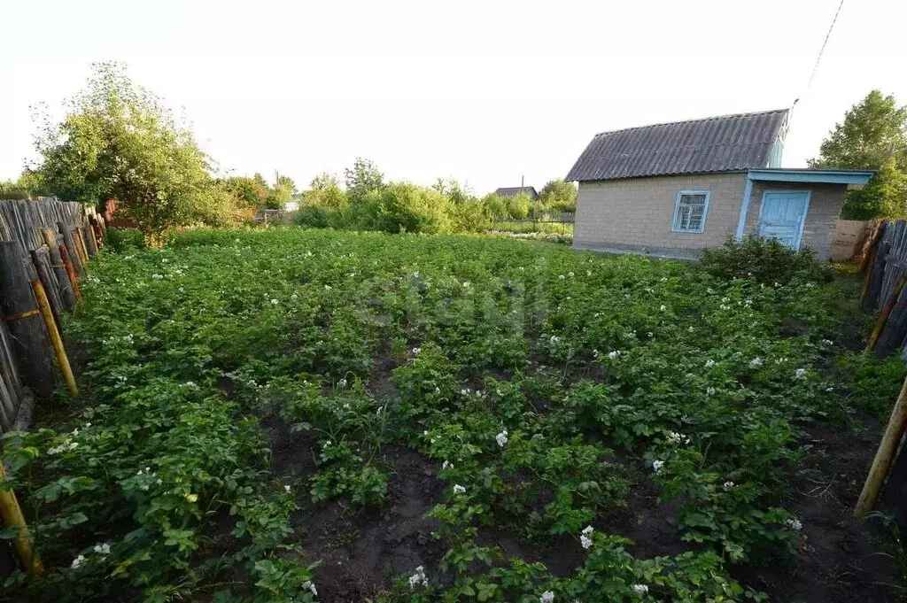 Дом в Чернолучинский, СТ Излучина-1 (23.8 м) - Фото 0